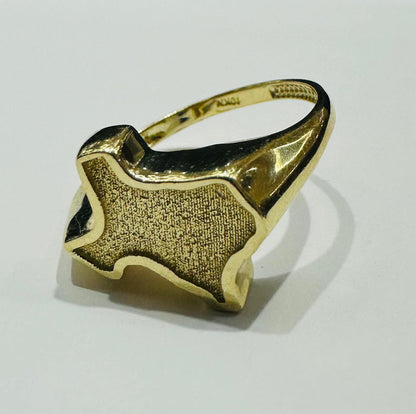 10K GOLD TEXAS RING - WEIGHT: 3.7gm
